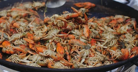 Crayfish cooking  Stock Footage 103629893