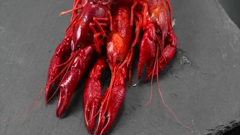 Crayfish, Crawfish closeup. Red boiled crayfishes on stone slate dark background Stock Footage 230931164