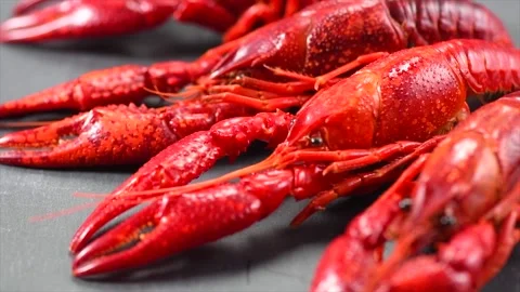 Crayfish, Crawfish closeup. Red boiled crayfishes on stone slate dark background Stock Footage 296020947