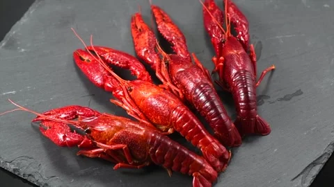 Crayfish, Crawfish closeup. Red boiled crayfishes on stone slate dark background Stock Footage 330526000