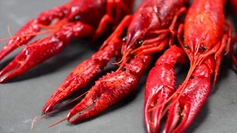 Crayfish, Crawfish closeup. Red boiled crayfishes on stone slate dark background Stock Footage 335359646
