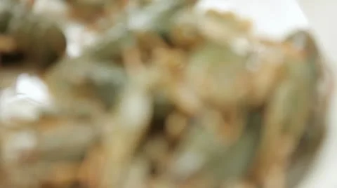 Crayfish Stock Footage 10827322