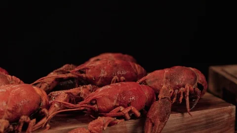 Crayfish Stock Footage 99195882