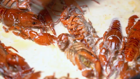Crayfish fried in a frying pan Stock Footage 254686202