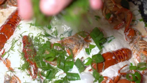 Crayfish fried in a frying pan Stock Footage 254686685