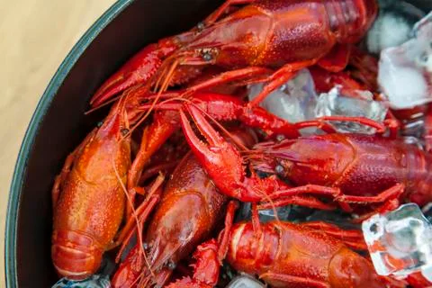 Crayfish on ice close up. 스톡 사진