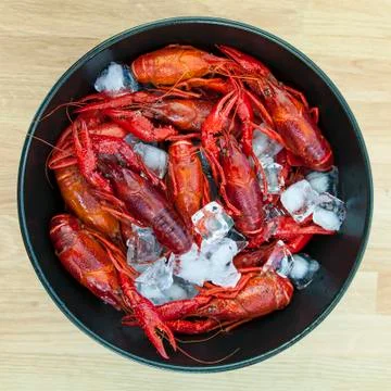 Crayfish on ice. 스톡 사진
