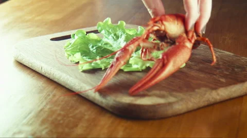 Crayfish lobsters on a tray Stock Footage 100534371