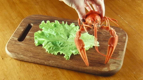 Crayfish lobsters on a tray Stock Footage 100536405