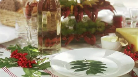 A crayfish party Stock Footage 11205581