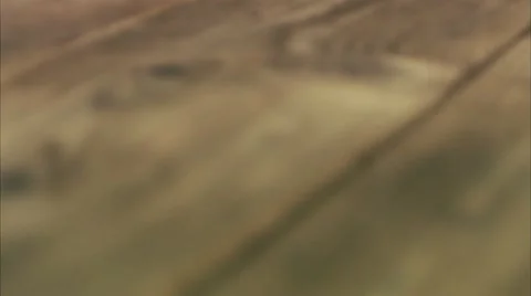 A crayfish party Stock Footage 11206339