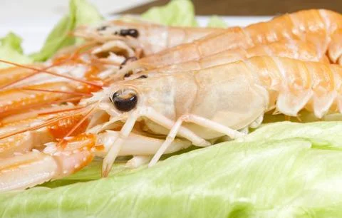 Crayfish Stockfoto's