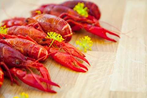 Crayfish 스톡 사진