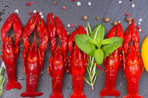Crayfish Stock Photos