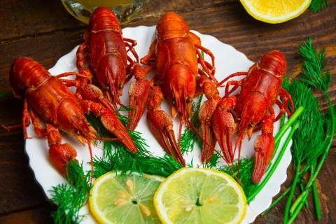 Crayfish Stock Photos