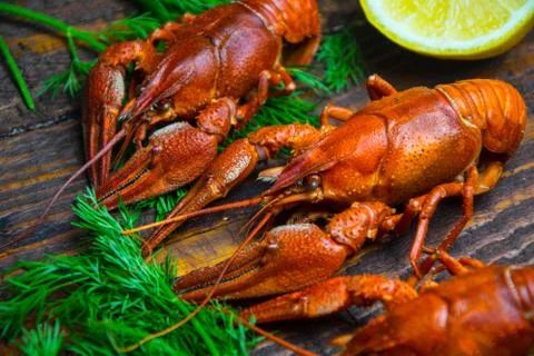 Crayfish Stock Photos