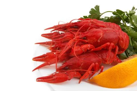 Crayfish Stock Photos