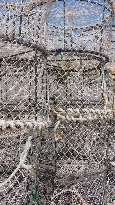 Crayfish Pots Stacked on Hastings Beach, Right Panning Shot. Vertical format. Stock Footage 342236894