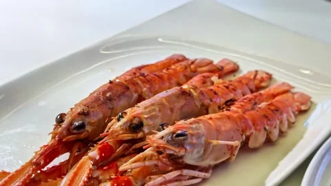 Crayfish served on a gourmet plate. Close up Stock Footage 325057434
