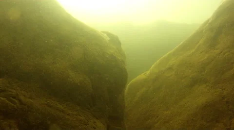 Crayfish Underwater 库存影片 68679765