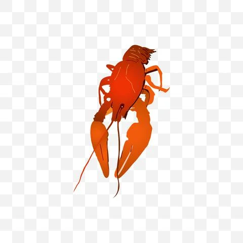 Crayfish vector illustration on blank background Illustrazione stock
