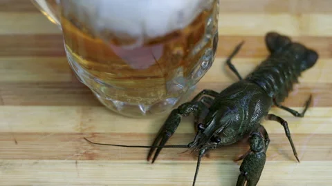 Crayfish on wooden board, inside plastic bag or in bowl with water, Stock-Footage 276855004