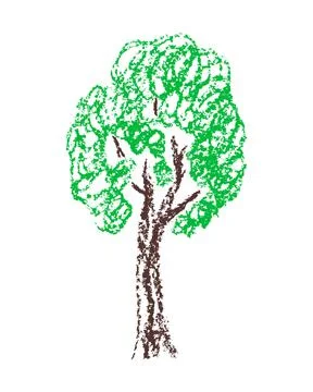 Crayon hand drawn tree with green leaves. Hand drawn sketch tree on white. Stock Illustration