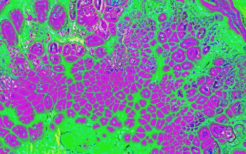 Crazy abstract textured background with contrast colors fluid art. Stock Illustration