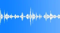 Crazy children playing loopSound Effect