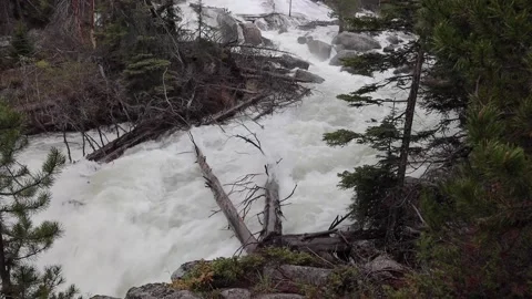 Crazy Creek Falls Stock Footage 154767420