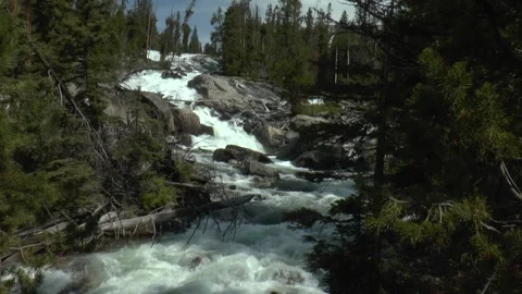 Crazy Creek Falls Video stock 312695764
