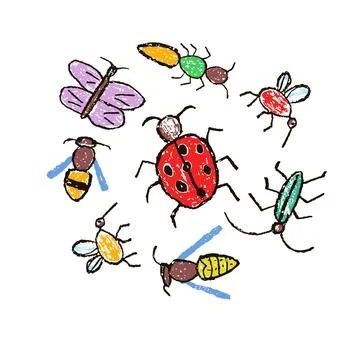 Crazy doodle insects set. Crayon like kid`s hand drawn Stock Illustration