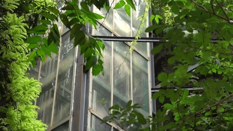 Crazy elevator located in jungles alon waterfall in a city of Dalat 動画素材 81278555