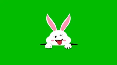 Crazy expression and funny easter bunny looking out from black hole on gree.. Stock Illustration