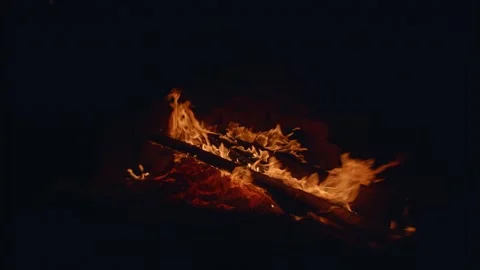 Crazy flames on the campfire in slow motion Stock Footage 152528059