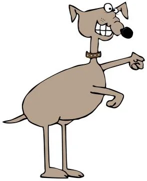 Crazy looking dog Stock Illustration