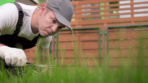 Crazy man cutting grass with scissors Stock Footage 136227887