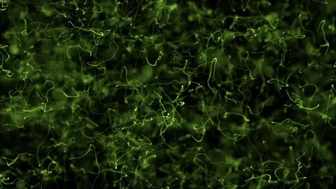 Crazy melting lines. photo effect with exposure Stock Footage 81677913