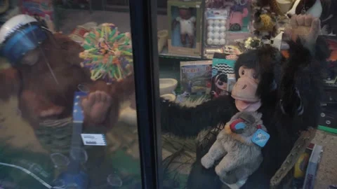 Crazy monkeys. Strange showcase in amsterdam Stock Footage 225546395