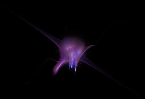 Crazy mystical coloured light effects. Incredible combinations of abstract .. Stock Illustration