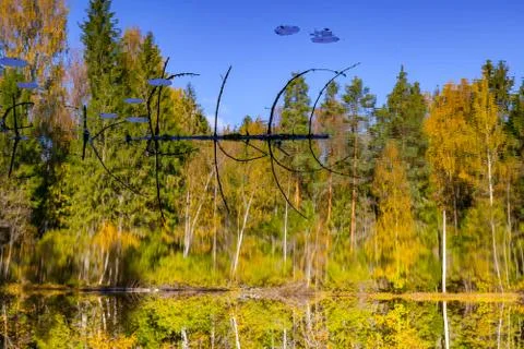 Crazy reverse reflection autumn forest in pond with branch, Aegviidu, Estonia Stock Photos