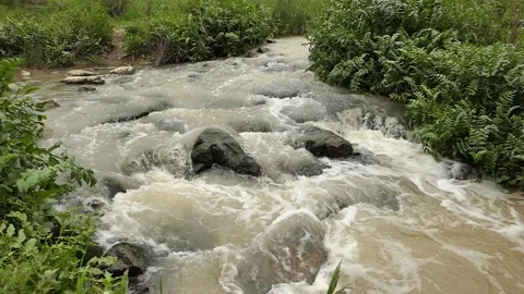 Crazy river Video stock 172515462