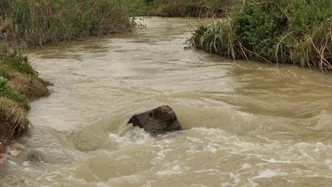 Crazy river Stock Footage 172515504