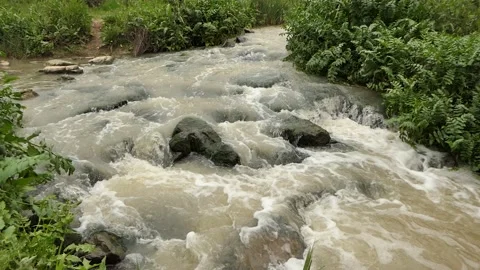 Crazy river Video stock 172515511