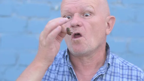 Crazy Russian elderly man with a shaved head is holding an insect Gryllotalpi Stock Footage 93292887
