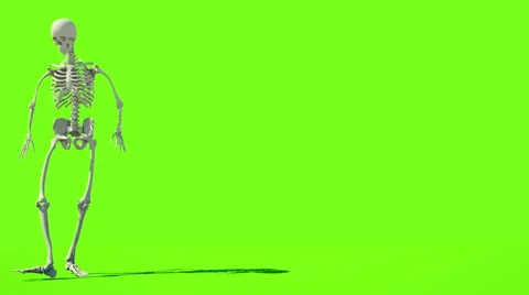 Crazy skeleton funny dancing. GI render. Green screen footage. Halloween concept Stock Footage 67942550