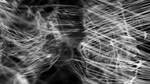 Crazy Strings Video stock 503800