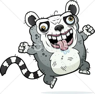 Crazy ugly lemur Stock Illustration