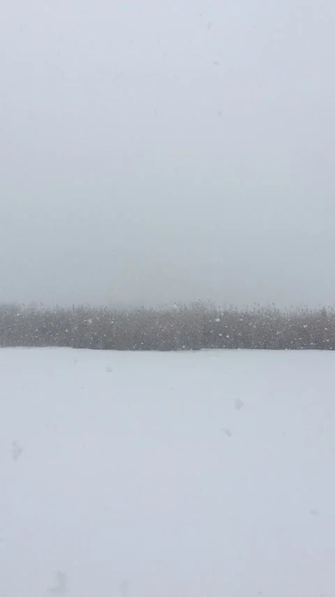 Crazy winter snow Stock Footage 171684121