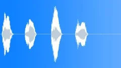 Creaky bird denyingSound Effect